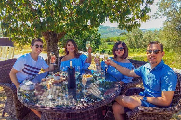 Excursión para grupos pequeños al Valle del Duero. Visite tres viñedos con catas y almuerzo.