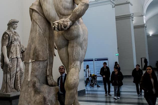Privat omvisning i Napoli arkeologiske museum