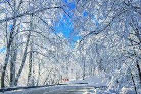 Real winter - Sabaduri – Ananuri – Gudauri