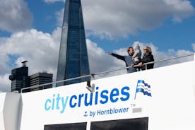 River Thames One-Way Sightseeing Cruise 