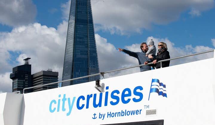 River Thames One-Way Sightseeing Cruise 