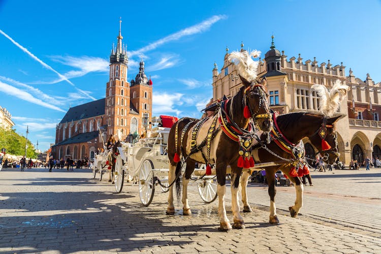Photo of horse carriages at main square in Krakow in a summer day.