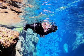 Snorkeling en petit groupe avec combinaison étanche dans la fissure de Silfra - photos GRATUITES 