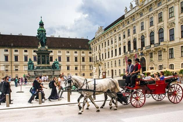 Viena como un local: recorrido privado personalizado