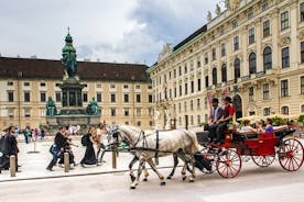 Wien Gilla ett lokalt: Anpassad privat rundtur