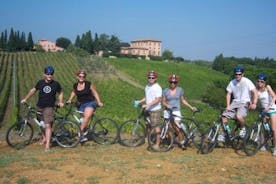 托斯卡纳电动自行车之旅：从佛罗伦萨到基安蒂，提供午餐和品尝