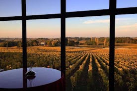 Bordeaux'n viinitilat vierailevat maistelemalla San Sebastianista