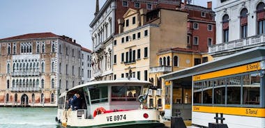 Excursión independiente de un día a Venecia desde Roma en tren de alta velocidad