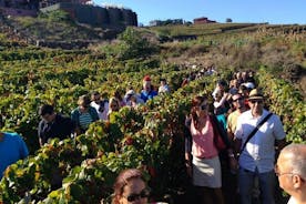 Tenerife Gastronomi tur med to vingård besøk og 4-retters lunsj