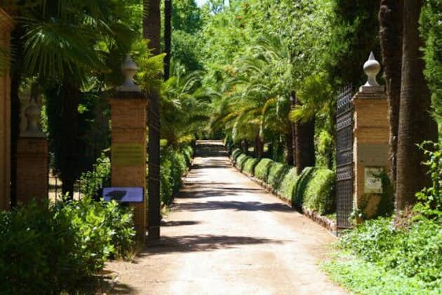 Tour a piedi delle Cármenes de Granada