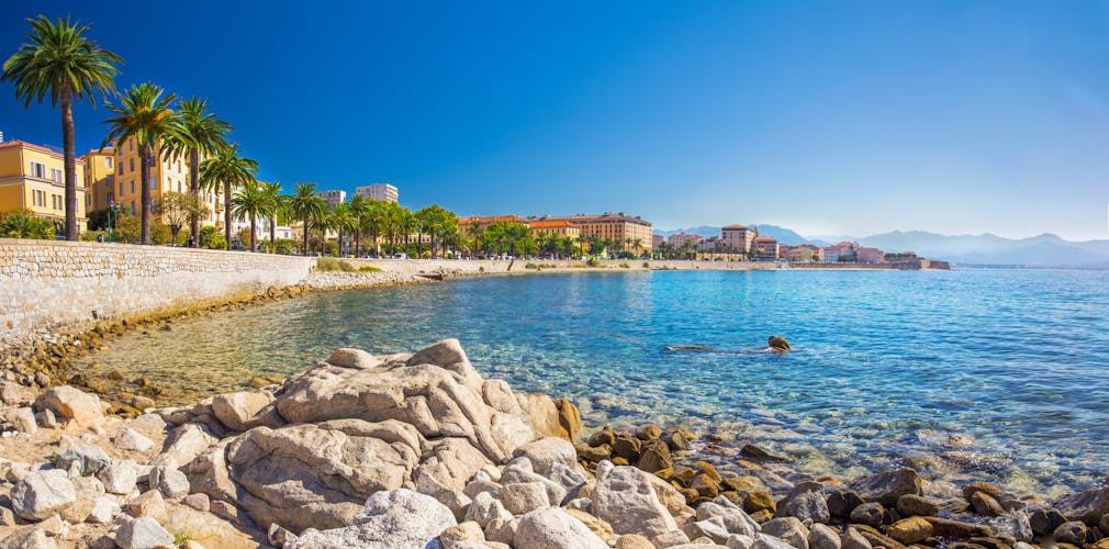 Photo of Ajaccio old city center coastal cityscape with palm trees and typical old houses.