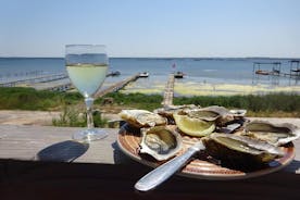 Oysters and seafood of the Thau Lagoon