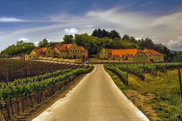 2 dagars privat rundtur i vinregionen i Tjeckien och Bratislava från Wien