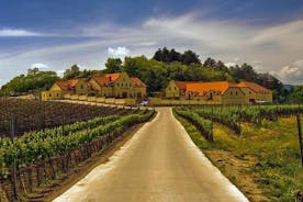 捷克共和国葡萄酒产区和维也纳布拉迪斯拉发2日私人游览