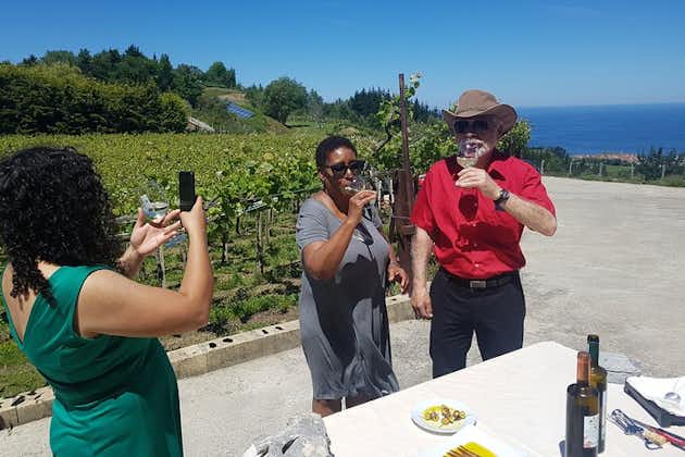 Txakoli Winery Tour through the Coast from San Sebastian