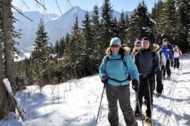 Snowshoeing in High Tatras: Zdiar to Bachledova Valley