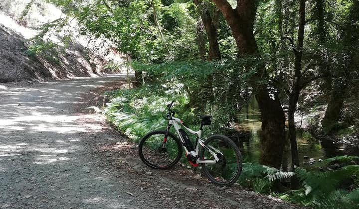 Entdecken Sie den Wald von Paphos mit E-Mountainbikes