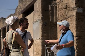 Tour guidato di Pompei ed equitazione sul Vesuvio con degustazione di vini