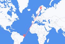 Flyreiser fra Recife, Brasil til Lulea, Sverige