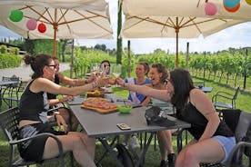 Proeverij van wijn en eten in de wijngaarden in Lazise