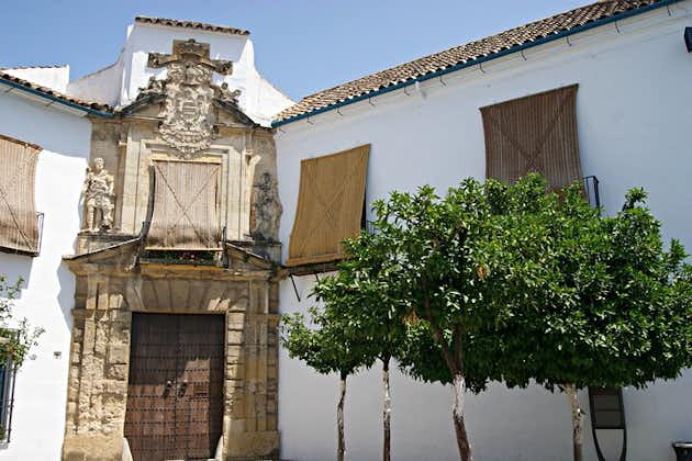 Tour privato di un'intera giornata Cordova e la sua moschea da Malaga