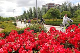 Madrid Parks & Riverside Cycle Tour