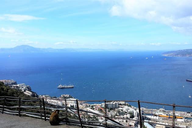 Gibraltar privat tur från Marbella eller Malaga