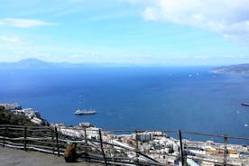 Excursion privée d'une journée complète à Gibraltar au départ de Marbella ou de Malaga