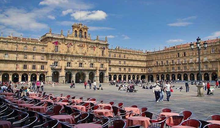 Private 3-hour Walking Tour of Salamanca