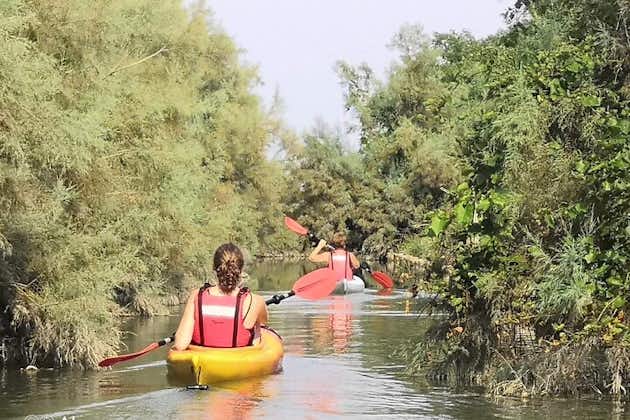 tour in kayak privato nella laguna di venezia