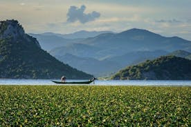 Giro in barca sul lago di Scutari attraverso "Amazzonia montenegrina", degustazione di vini e cascate del Niagara