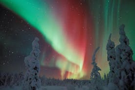 Caza de la aurora boreal, incluyendo bocadillos en fogata de Levi