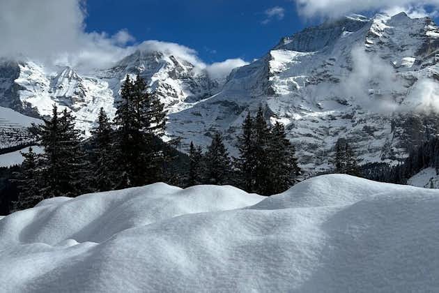 Excursion privée d'une journée au cœur des ALPES - Région de la Jungfrau