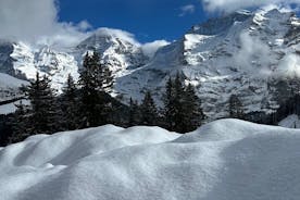 阿尔卑斯山中心的私人一日游 - 少女峰地区