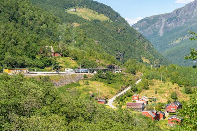 Photo of فhe train between The Flåm and Myrdal (Norway).