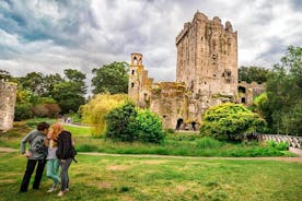 Excursión de un día al castillo de Blarney desde Dublín, incluida la roca de Cashel y la ciudad de Cork