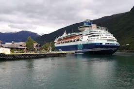 Cruise Special: Privater Ausflug zu Schluchten und Wasserfällen mit der Flåmbahn