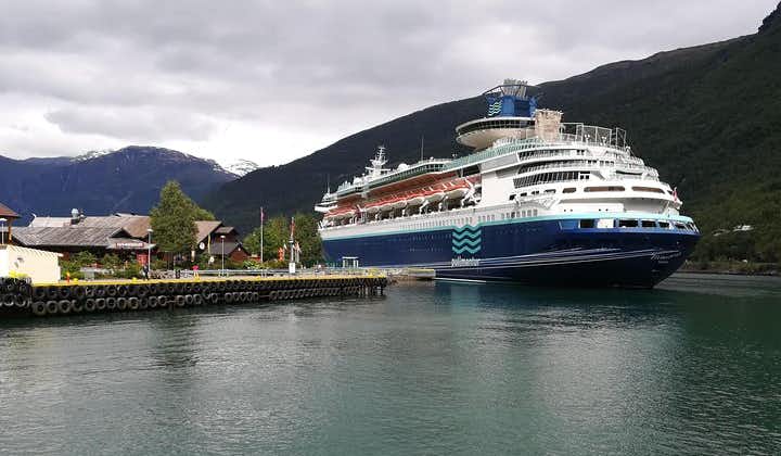 Cruise Special: Privater Ausflug zu Schluchten und Wasserfällen mit der Flåmbahn