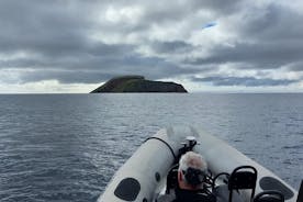Excursion en bateau autour de l'îlot de Cabras avec plongée en apnée