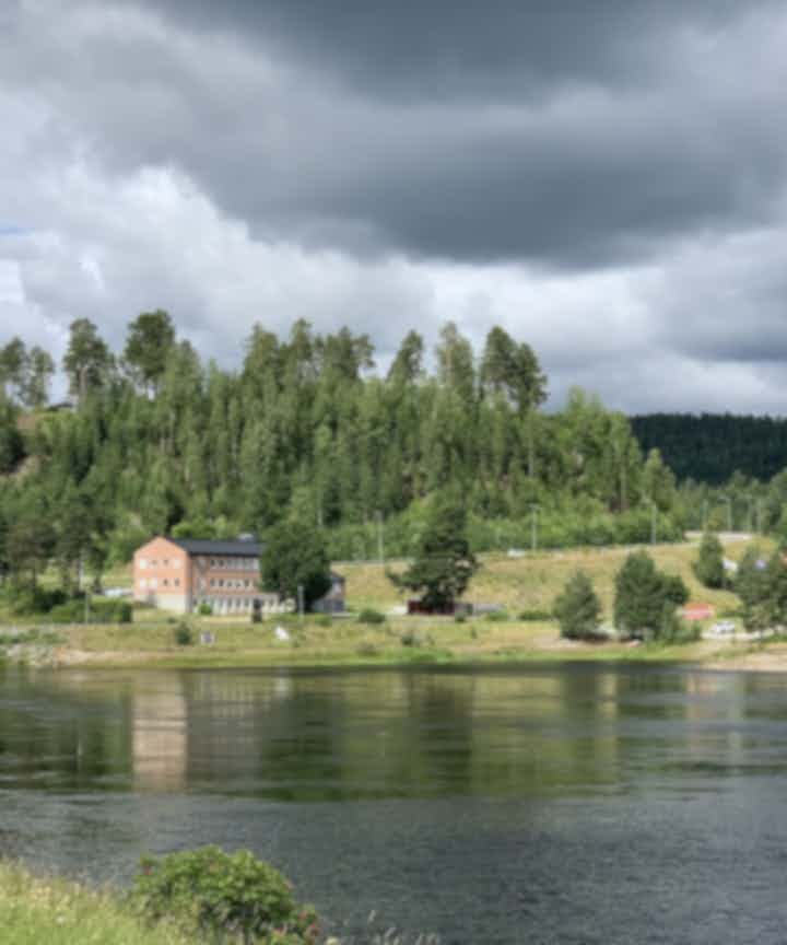 Flug frá Stokkhólmi til Sollefteå