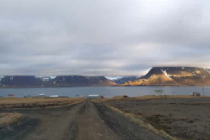 Vuelos de Reikiavik, Islandia a Gjogur, Islandia