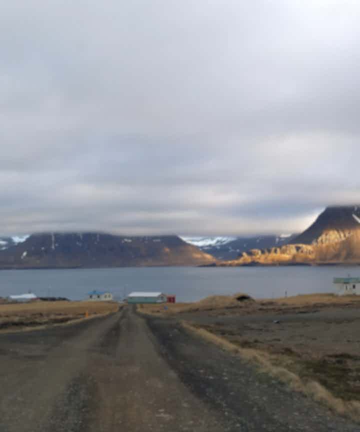 Flüge von Reykjavík, Island nach Gjögur, Island