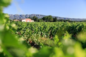 Puolen päivän viinikierros Côtes de Provence Sainte-Victoiressa Aix en Provencesta