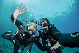 Guided Scuba Diving for beginners without license from Sorrento (5 hours)