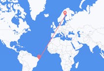 Flyreiser fra Recife, Brasil til Skelleftea, Sverige
