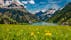 photo of view of Vilsalpsee in spring with flower meadow and mountains in background Tannheimer Tal Austria,Gemeinde Tannheim Austria.
