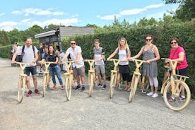 The Wooden Bicycle Tour in Stockholm