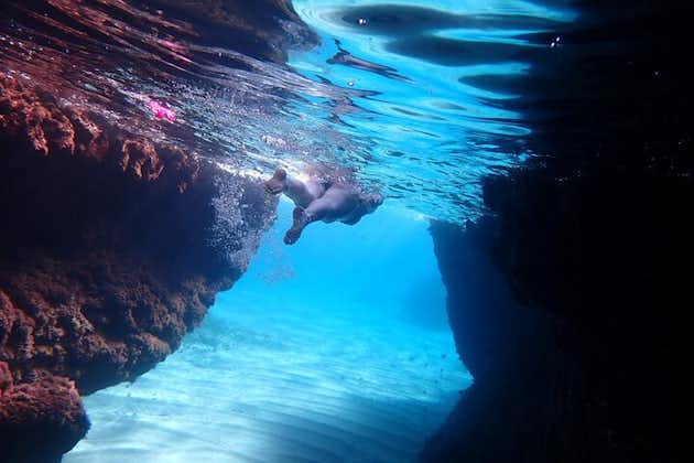 Plongée en apnée guidée - Grottes marines d'Agia Napa + plage de Konnos (PAS de bateau)