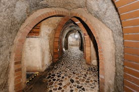 Recorrido subterráneo histórico de Pilsen con un vaso de cerveza