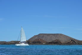 Exclusive Sailing Catamaran Experience to Lobos Island with lunch and drinks